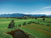 lm Bannriet wurden hohe Ammoniakkonzentrationen gemessen – ein Problem für Mensch und Natur. (Bild: Wikimedia Commons/Tschubby)