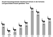 Grafik: BLV