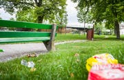 Obwohl der Abfallkübel nicht weit entfernt ist, landet im Frauenfelder Lindenpark allerlei Abfall auf dem Boden. (Bild: Andrea Stalder)