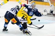 Zugs Dario Simion, Berns Gregory Sciaroni und Zugs Torhüter Tobias Stephan, von links, beim Tor zum 2-3 in der Verlängerung. (Bild: KEYSTONE/Alexandra Wey, Zug, 13. April 2019)