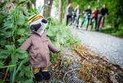 Der Dachs ist das Maskottchen des Detektiv-Trails. (Bild: Andrea Stalder)