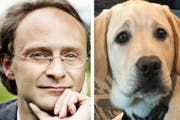 Thomas Beschorner, Direktor des Instituts für Wirtschaftsethik an der HSG, kümmerte sich um Blindenhund Kalle – ein Engagement mit Folgen. (Bilder: pd)