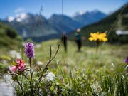 Zuhause ist es am schönsten: Graubünden, das Wallis und das Tessin sind die Lieblingsferienziele der Schweizerinnen und Schweizer. (Bild: KEYSTONE/TI-PRESS/GABRIELE PUTZU)