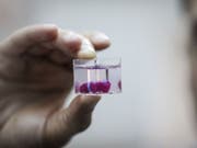 Ein Herzchen aus menschlichem Gewebe, mit Kammern und Blutgefässen, haben israelische Forscher mit einem 3D-Drucker geschaffen. Sie hoffen, in zehn Jahren das erste ausgewachsene Exemplar einem Menschen zu implantieren. (Bild: Keystone/EPA/STR)