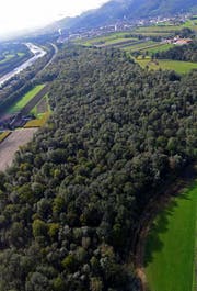 Das Sonderwaldreservat Ceres befindet sich zwischen Buchs und Haag, zwischen Autobahn und Hauptstrasse. (Bild: PD)