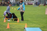 Arbeit mit dem Hund auf dem Gelände des Kynologischen Vereins.