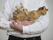 Katzenmumie aus dem 18. Jahrhundert: Fotografie von Lois Weinberger. (Bild: Paris Tsitsos / Studio Weinberger)