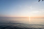 Wo die Parzelle liegt, ist im anonymisierten Urteil nicht ersichtlich. Einen wunderschönen Blick auf den Bodensee gibt es an vielen Orten: hier in Arbon. (Bild: Thi My Lien Nguyen)