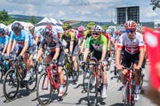 Auch Velofahrer: Die Tour de Suisse vergangenen Sommer auf der Grossen Allmend. (Bild: Andrea Stalder)