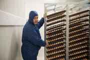 Magnus Döbeli, technischer Leiter der Biobrüterei, im Kühlraum.