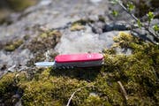 Das Werkzeug von Felix Immler. (Bild: Benjamin Manser, Goldau, 5. April 2019)
