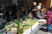 Die Parkmitarbeitenden informieren über Feldhase, Schneehase und Co. (Bild: Natur- und Tierpark Goldau)
