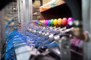 78 Spritzpistolen färben rund 12000 Eier pro Stunde. (Bild: PD)