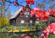 Im deutschen Spreewald kommt die Post zwischen April und Oktober per Boot. (Bild: Patrick Pleul/DPA, 4. April 2019)