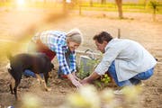 Diverse Netzwerke bringen motivierte Pensionäre zu hilfesuchenden Personen. (Bild: Fotolia)