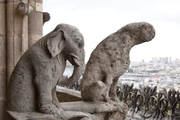 Ein Wasserspeier, der sein Gesicht verloren hat. (Bild: notredamedeparis.fr)