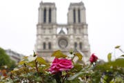 Die Kathedrale in Paris. (Bild: EPA/IAN LANGSDON, 16. April 2019)