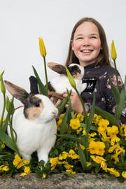 (Bild: Eveline Beerkircher, Horw, 14. April 2019)