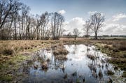 Das ehemalige Lehmabbaugebiet mit dem Flurnamen «Mos »zwischen Bürglen und Opfershofen. (Bild: Andrea Stalder)