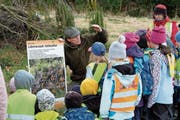 Revierförster Claude Engeler erklärt den Kindern, wie der Zaunkönig lebt. (Bild: Jörg Rothweiler)