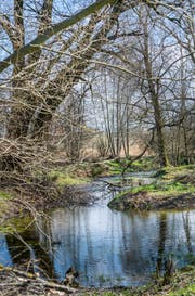 Das Naturschutzgebiet erstreckt sich über 3,9 Hektaren. (Bild: Andrea Stalder)