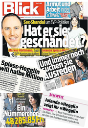 Mehr als 200 Artikel publizierte die «Blick»-Gruppe über den Fall Spiess-Hegglin. (Quelle: Ringier/ Montage: stb)