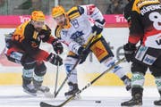 Auch Zugs Topscorer Lino Martschini konnte die Niederlage gegen den SC Bern nicht verhindern. (Bild: PPR/Marcel Bieri)
