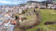 Die Ruckhalde zwischen Oberstrasse und Riethüsli soll überbaut werden. Die Grünliberalen fordern dabei einen verantwortungsbewussten Umgang unter anderem auch mit dem alten Bahntrassee. (Bild: Benjamin Manser - 25. März 2019)