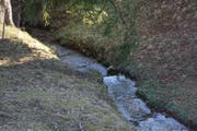 Die Bachsanierungen bleiben im Toggenburg ein Thema. Geregelt sind sie im kantonalen Wasserbaugesetz, das im kommenden Jahr revidiert und – falls sich keine Hindernisse in den Weg stellen – neu am 1. Januar 2021 in Kraft treten soll. (Bild: Beat Lanzendorfer)
