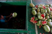 Ungewohnt: Ein Arbeiter in Dhaka, der Hauptstadt Bangladeschs, löscht eine Ladung Wassermelonen. (Bild: Keystone)