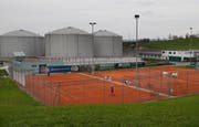 Die Rischer Tennisspieler freuten sich beim Bau des neuen Platzes über einen Zuschuss der Gemeinde in der Höhe von 130000 Franken. (Bild: Stefan Kaiser, 16. April 2019)