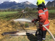 Etwa eine Stunde brauchten die Feuerwehrleute, die Flammen auf dem Erdbeerfeld zu löschen. (Bild: Kapo GR)