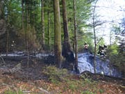 Unterhalb des Dietschibergs in Luzern sind über 1000 Quadratmeter Wald verbrannt. (Bild: Luzerner Polizei)