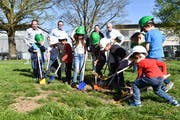 Willkommene Abwechslung im Schulalltag: Die Kinder nehmen den Spatenstich ernst. (Bilder: Roman Scherrer)