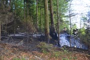Die Feuerwehr der Stadt Luzern löschte am Mittwoch einen Brand im Zimmeriwald. (Bild: Luzerner Polizei)