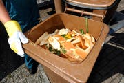 Küchenabfälle können für die Herstellung von Biogas genutzt werden. (Bild: Ralph Ribi)