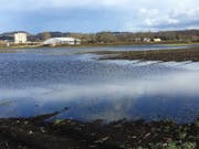 Mit Absicht überschwemmt worden ist dieses Ackerland bei Yverdon-les-Bains. Nun können dort Watvögel, die von Afrika nach Nordeuropa zurückkehren, eine Rast einlegen. (Bild: Christian Roulier/Vogelwarte Sempach)
