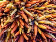 Rüebli in verschiedenen Farben. (Bild: KEYSTONE/ALEXANDRA WEY)