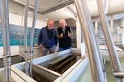 «Tag des Fisches» im Fischereimuseum Zug: Rolf Krieg (rechts), Ehrenpräsident erklärt Ruedi Keiser das Langstrombecken.(Bilder: Roger Zbinden, Zug, 27. April 2019)