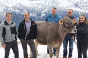 Sie begutachten das Rind: (von links) Marco Arnold von der Fenster Nauer AG, Spender Christoph Weber, Mario Baumann und André Arnold (Sponsoring) und Bauerntochter Andrea Gisler. (Bild: Paul Gwerder, Haldi, 26. April 2019)