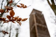 Der Aussichtsturm im vergangenen Januar. (Bild: Mareycke Frehner)