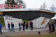 So sieht die 4,5 Meter hohe Anlage aus. (Bild: Gianni Amstutz)