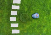 Pflegeleichte, aber ein tote Gärten: Hier bearbeitet ein Mähroboter den Rollrasen.