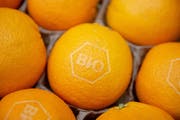 Auch Biofrüchte wie Orangen werden in der Schweiz immer beliebter. (Bild: Timm Schamberger)