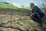 Sabrina Meier aus Waldstatt freut sich auf ihre Blumenwiese. (Bild: Karin Erni)