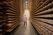 Andreas Hinterberger in seinem Lagerkeller: Er ist bei jedem Kilo Käse dabei, welches das Lager verlässt.