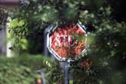 Der Schattenwurf darf die Sicht nicht beeinträchtigen. (Bild: Susann Basler)