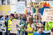 Demonstranten in Frauenfeld. (Bild: Andrea Stalder)