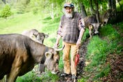 Er hat die Hornkuh-Initiative lanciert: Bergbauer Armin Capaul mit seinen Kühen auf einer Wiese in Perrefitte bei Moutier im Kanton Bern. (Archivbild: Keystone)