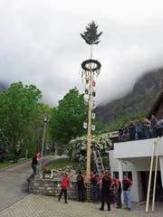 Entrindet und geschmückt: Auch in Bauen wird am 4. Mai wieder ein traditioneller Maibaum aufgestellt. (Bild: PD)
